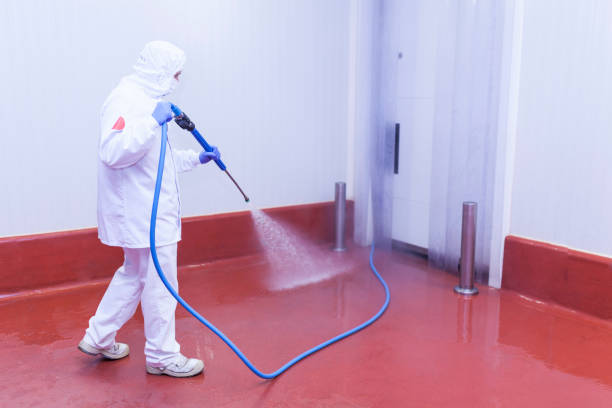 Best Patio and Deck Pressure Washing  in Stanhope, NJ