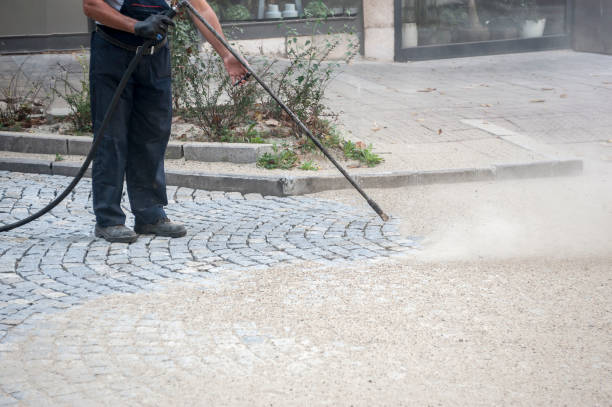 Best Roof Washing  in Stanhope, NJ